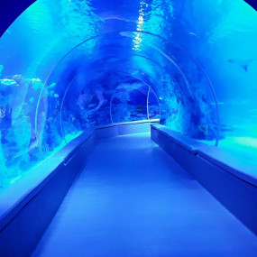 Istanbul: Emaar Aquarium + SkyView Combo in Istanbul: Gallery Photo n69x81