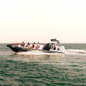 Photo from Luxury Speed Boat Tour by The Black Boats in Dubai: Gallery Photo 3rwr8g