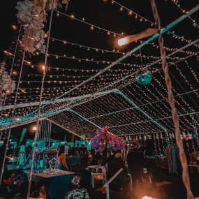 Groove On The Grass - Satori & band, Sama' + More! in Dubai: Gallery Photo nkr1x3