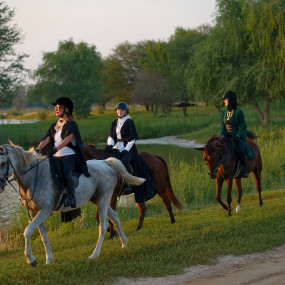 Photo from تجربة ركوب الخيل عند غروب الشمس في واحة المرموم مع عشاء بطابع بدوي من 6 أطباق in دبي: Gallery Photo 3yo8rr