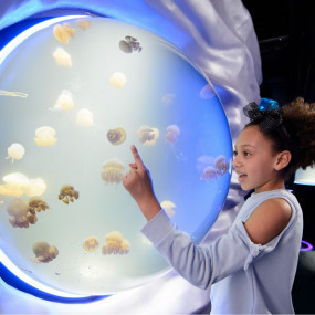 London Eye, Madame Tussauds & SEA LIFE London - 3 way ticket in London: Gallery Photo 3e7q70