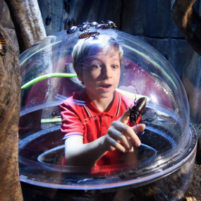 London Dungeon, SEA LIFE London & Madame Tussauds - 3 way ticket in London: Gallery Photo 3e7qw0 London Dungeon, SEA LIFE London & Madame Tussauds - 3 way ticket in London: Gallery Photo 3e7qw0