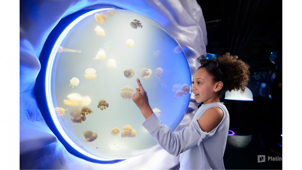 34jqeb استديو الصور :لندن في London Dungeon, SEA LIFE London & Madame Tussauds - 3 way ticket