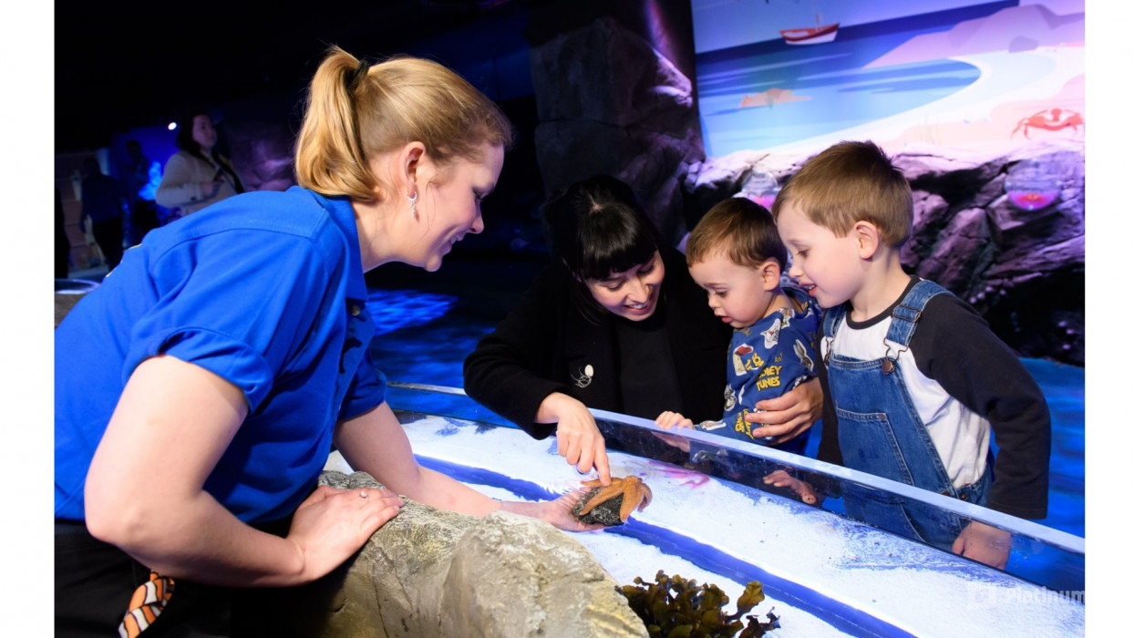 London Dungeon, SEA LIFE London & Madame Tussauds - 3 way ticket in London: Gallery Photo 3bjov5 London Dungeon, SEA LIFE London & Madame Tussauds - 3 way ticket in London: Gallery Photo 3bjov5