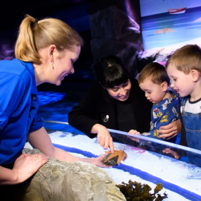 London Dungeon, SEA LIFE London & Madame Tussauds - 3 way ticket in London: Gallery Photo 3bjov5 London Dungeon, SEA LIFE London & Madame Tussauds - 3 way ticket in London: Gallery Photo 3bjov5