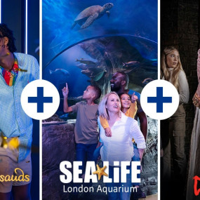 Photo from London Dungeon, SEA LIFE London & Madame Tussauds - 3 way ticket in لندن: Gallery Photo n0vgdq