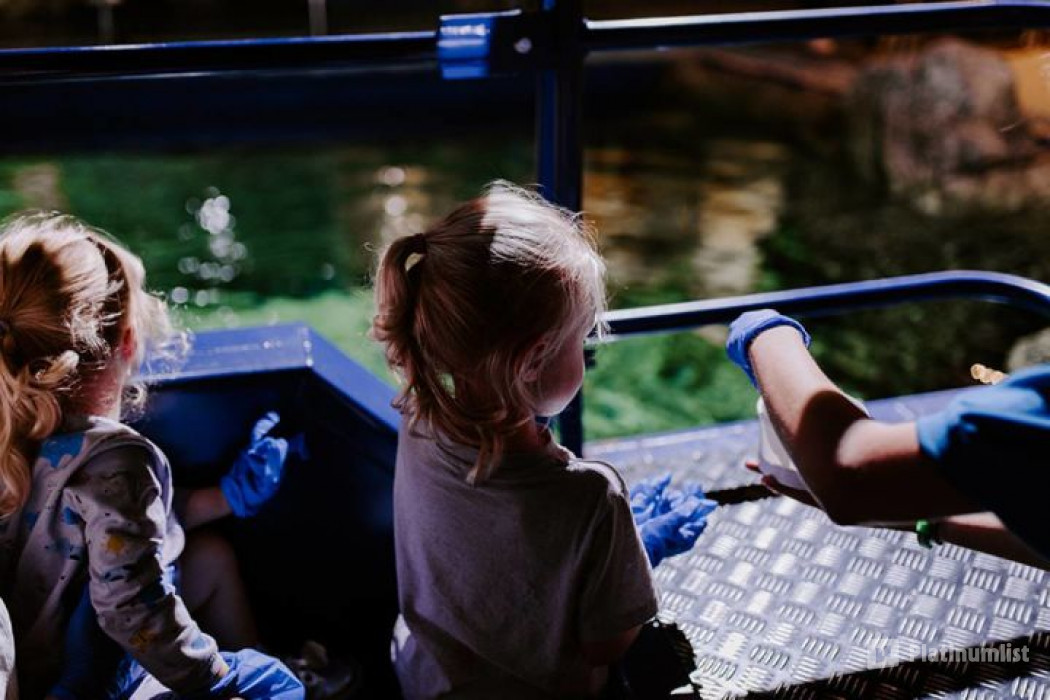 Sea Life Brighton in Brighton : Galerie de photos nkebrq Sea Life Brighton in Brighton : Galerie de photos nkebrq