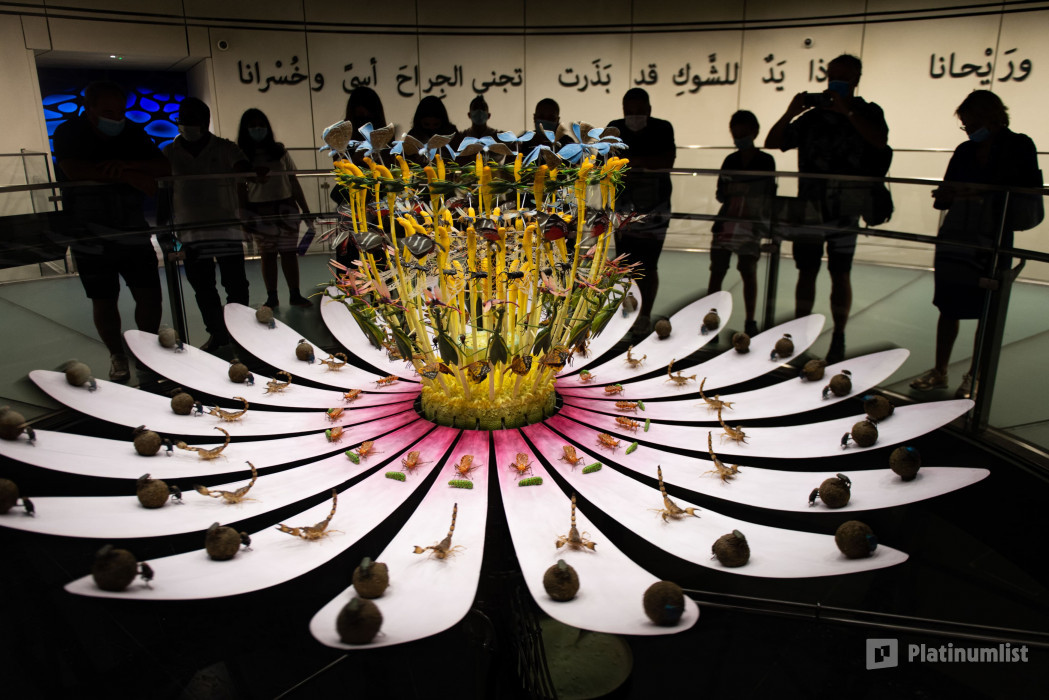 z7x2ok استديو الصور :دبي في إكسبو سيتي دبي - بطاقة دخول المعالم z7x2ok استديو الصور :دبي في إكسبو سيتي دبي - بطاقة دخول المعالم