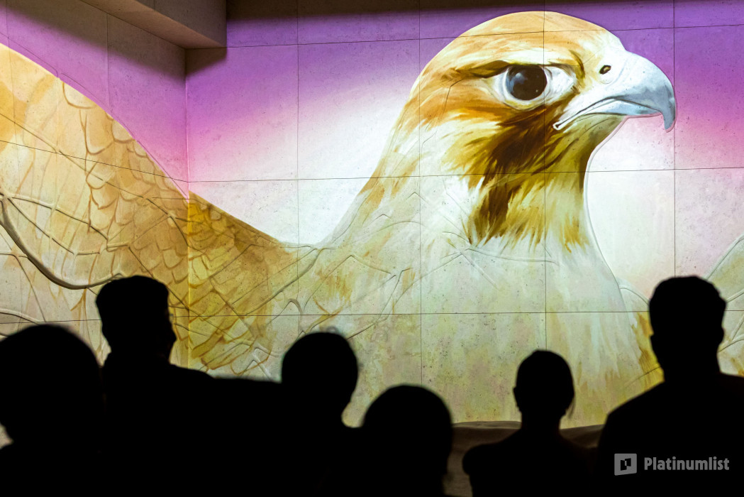 3e7qpb استديو الصور :دبي في إكسبو سيتي دبي - بطاقة دخول المعالم