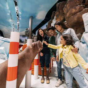 SeaWorld® Yas Island, Abu Dhabi in Abu Dhabi: Gallery Photo zod610