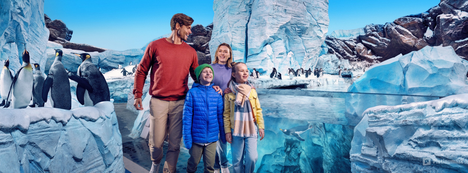 SeaWorld® Yas Island, Abu Dhabi in Abu Dhabi: Gallery Photo 3j52yq