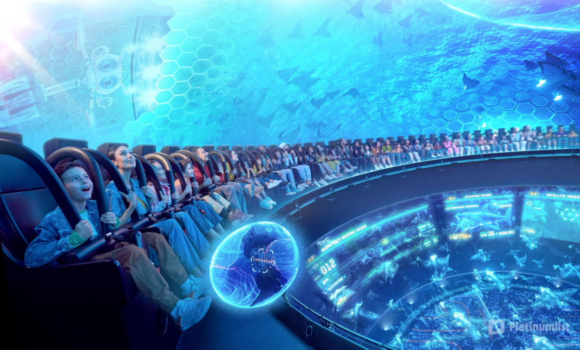 SeaWorld® Yas Island, Abu Dhabi in Abu Dhabi: Gallery Photo 3xvwpd