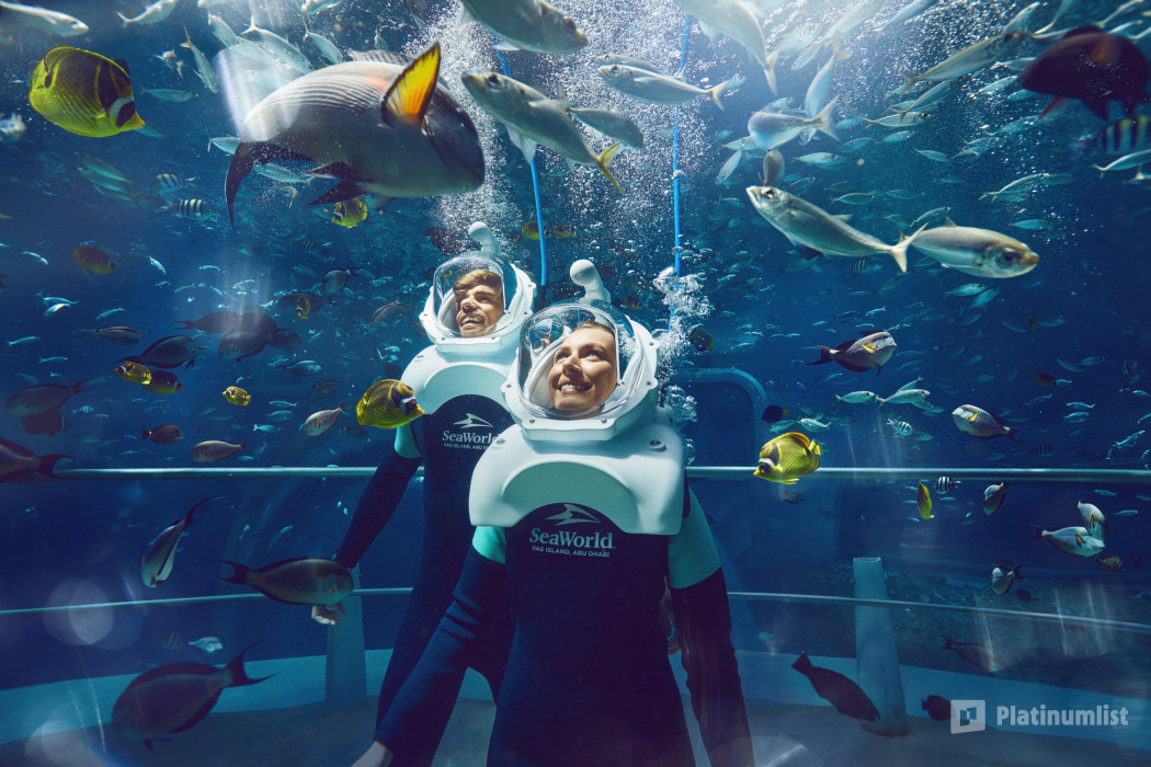 SeaWorld® Yas Island, Abu Dhabi in Abu Dhabi: Gallery Photo 3qev7r