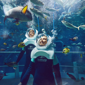 SeaWorld® Yas Island, Abu Dhabi in Abu Dhabi: Gallery Photo 3qev7r