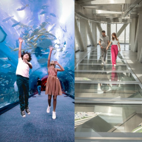 Dubai Aquarium + Sky Views with Slide - Combo in Dubai: Gallery Photo 3pjoeq Dubai Aquarium + Sky Views with Slide - Combo in Dubai: Gallery Photo 3pjoeq
