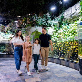 Dubai Aquarium + Sky Views with Slide - Combo in Dubai: Gallery Photo zodgoe Dubai Aquarium + Sky Views with Slide - Combo in Dubai: Gallery Photo zodgoe