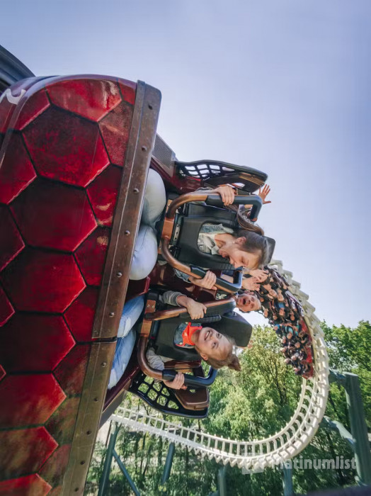 n26xx4 استديو الصور :كاتشيفيل في تذكرة الدخول إلى ملاهي إفتيلينغ