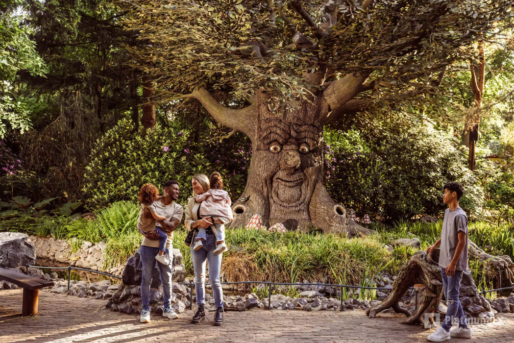 Efteling: Entry Ticket in Kaatsheuvel: Gallery Photo n15jjb