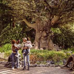 n15jjb استديو الصور :كاتشيفيل في تذكرة الدخول إلى ملاهي إفتيلينغ