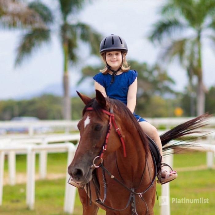 38yxvj استديو الصور :أبوظبي في تجربة ركوب المهر في الفرسان