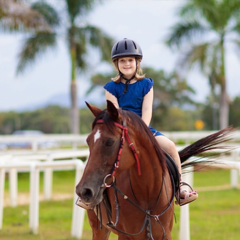 Photo from Pony Ride at Al Forsan in Abu Dhabi: Gallery Photo 38yxvj
