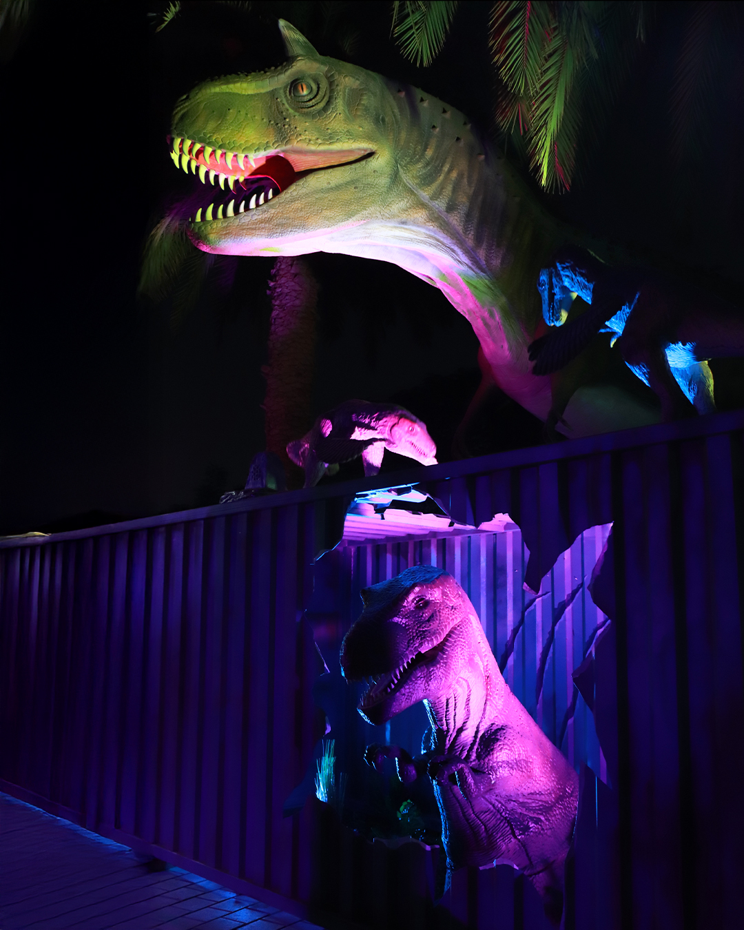 Photo from كومبو: برواز دبي + دبي جاردن جلو in دبي: Gallery Photo zw6rpb