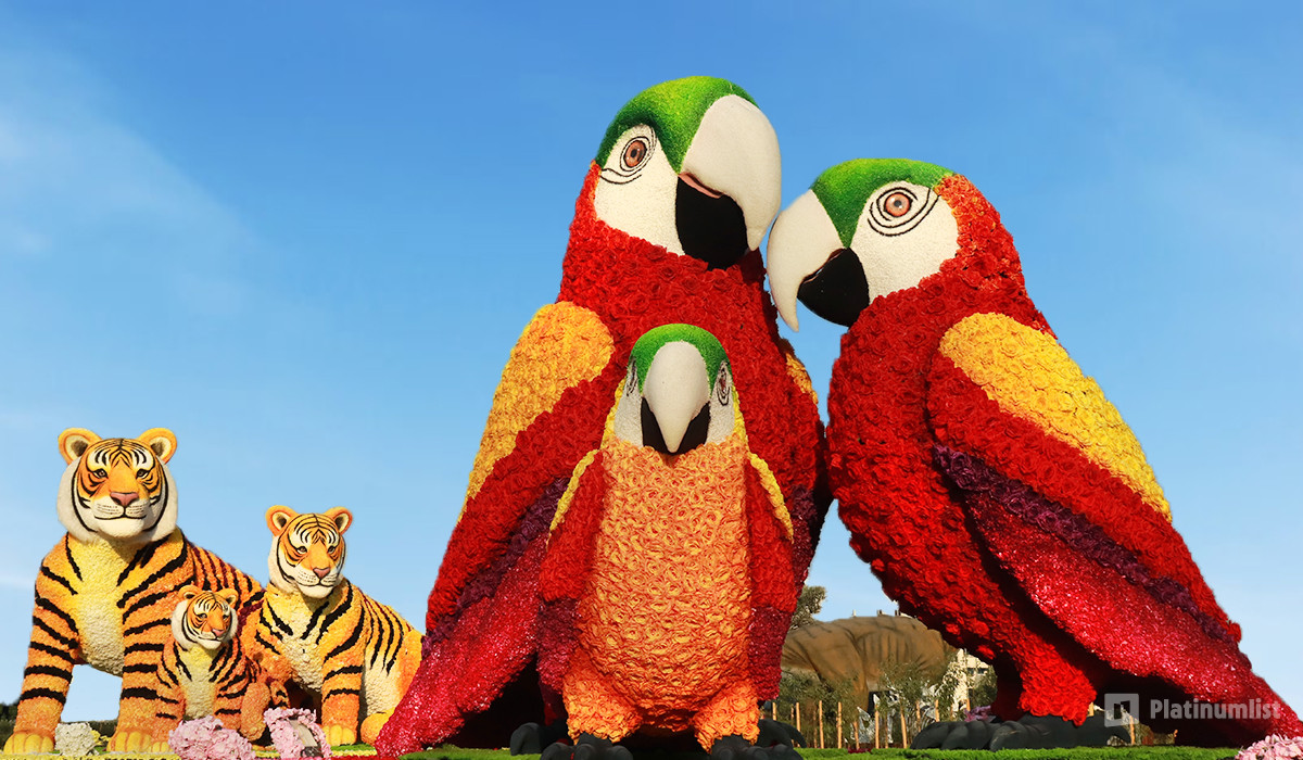 Dubai Frame + Dubai Garden Glow - Combo in Dubai: Gallery Photo zm0je5