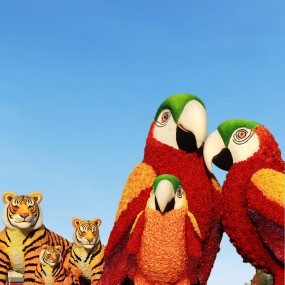 Photo from كومبو: برواز دبي + دبي جاردن جلو in دبي: Gallery Photo 38yx2r