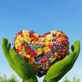 Photo from كومبو: برواز دبي + دبي جاردن جلو in دبي: Gallery Photo n261dj