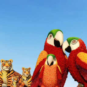 Photo from دبي جاردن جلو - حديقة الداينوصورات + فانتزي بارك in دبي: Gallery Photo 3pjypq