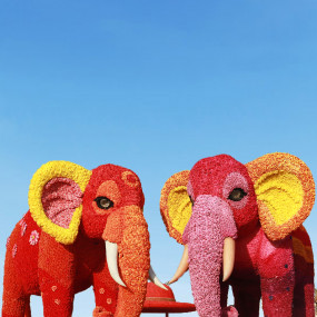 Photo from دبي جاردن جلو - حديقة الداينوصورات + فانتزي بارك in دبي: Gallery Photo 3xv1k8