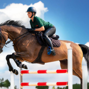 n261ej استديو الصور :أبوظبي في تجربة ركوب الخيل في الفرسان