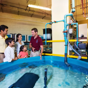 Lost World General Admission + Interactive Trident + Behind the scenes tour in Dubai: Gallery Photo n0v4bv Lost World General Admission + Interactive Trident + Behind the scenes tour in Dubai: Gallery Photo n0v4bv