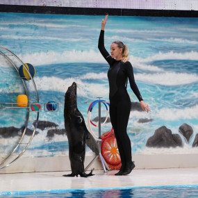 Photo from Qasr Al Watan + Dolphin & Seal Show - Combo in Abu Dhabi: Gallery Photo z7xjmk