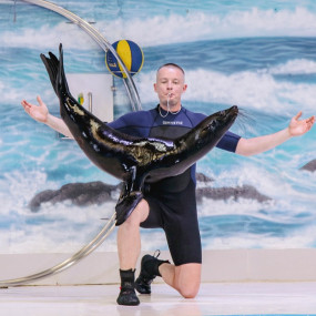 Dolphin & Seal Show + Global Village  - Combo in Dubai: Gallery Photo 3xv1qm