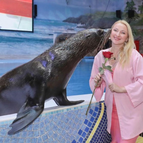 Dolphin & Seal Show + Global Village  - Combo in Dubai: Gallery Photo 3yovyb