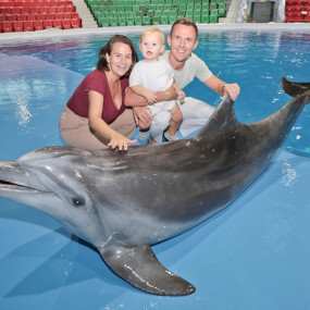 Dolphin & Seal Show + Global Village  - Combo in Dubai: Gallery Photo nkeg2v