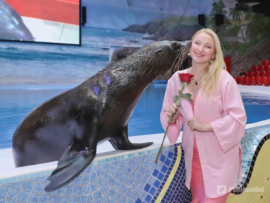 Dolphin & Seal Show + The View at The Palm Non Prime  - Combo in Dubai : Galerie de photos zm0jxw