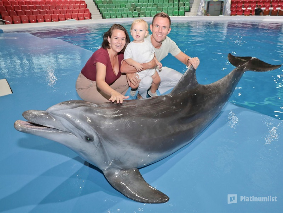 Dolphin & Seal Show + The View at The Palm Non Prime  - Combo in Dubai : Galerie de photos z94qv8