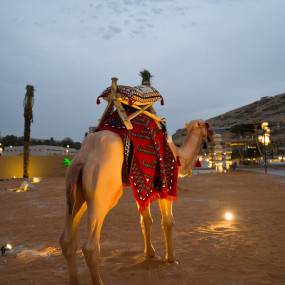 Ramlina Festival In Riyadh in Riyadh: Gallery Photo 38yovj