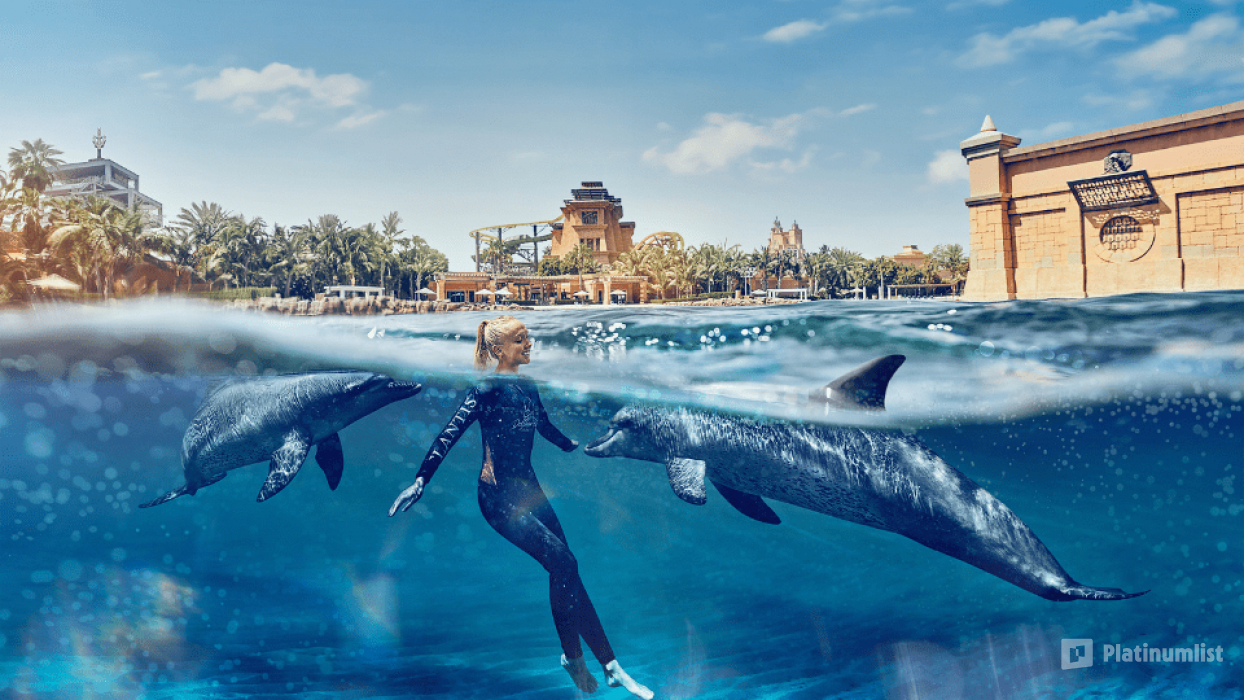 Dolphin Bay Experiences at Atlantis The Palm in Dubai: Gallery Photo 35y854