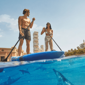 Dolphin Bay Experiences at Atlantis The Palm in Dubai: Gallery Photo n269dj