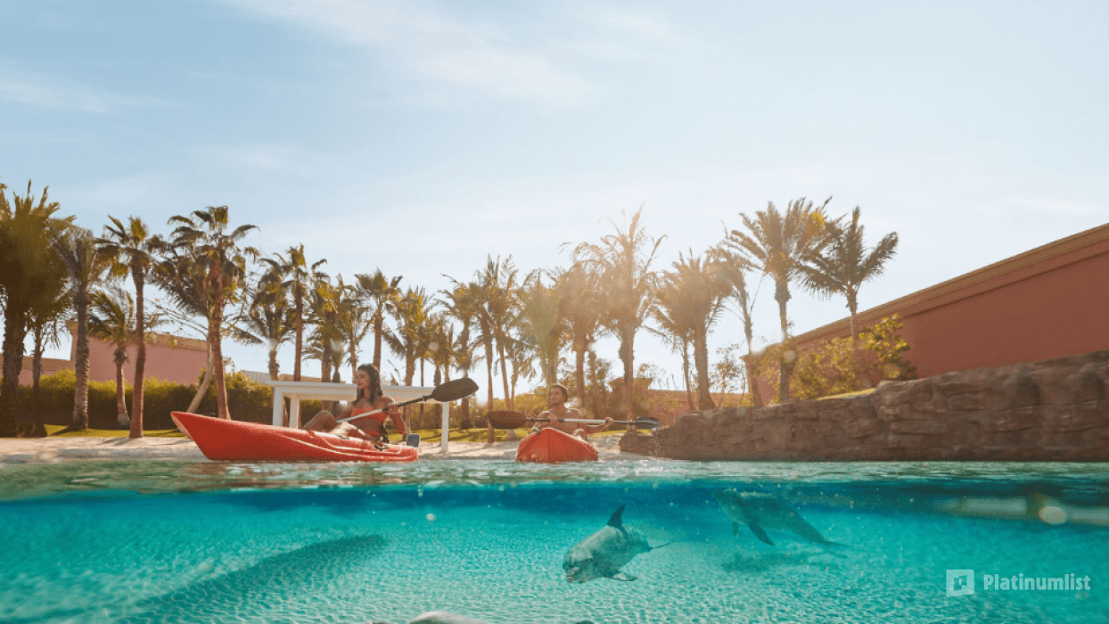 Dolphin Bay Experiences at Atlantis The Palm in Dubai: Gallery Photo n159xj