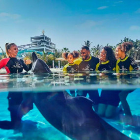 Photo de Dolphin Bay Experiences at Atlantis The Palm dans Dubai : Galerie Photo 3d7dwb