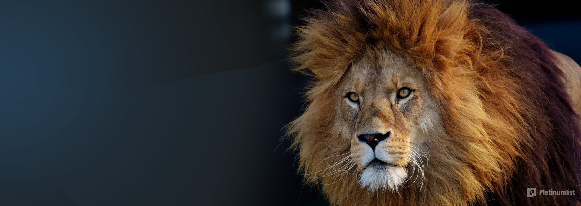 Miracle Garden + Emirates Park Zoo - Combo in Dubai: Gallery Photo 3rw4ov