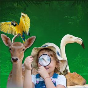 Photo from حديقة المعجزة + حديقة حيوانات الإمارات بارك – تذكرة كومبو in دبي: Gallery Photo zm07w5