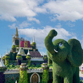 Photo from حديقة المعجزة + حديقة حيوانات الإمارات بارك – تذكرة كومبو in دبي: Gallery Photo n0v9eq