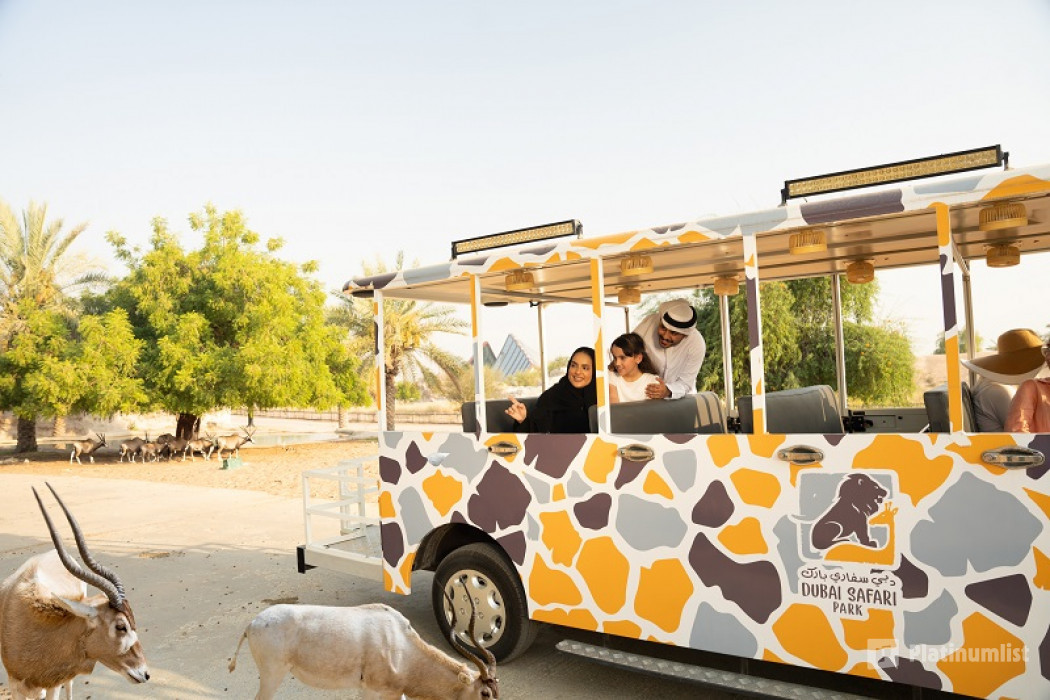 n69pvx استديو الصور :دبي في حديقة المعجزة + حديقة سفاري دبي – تذكرة كومبو