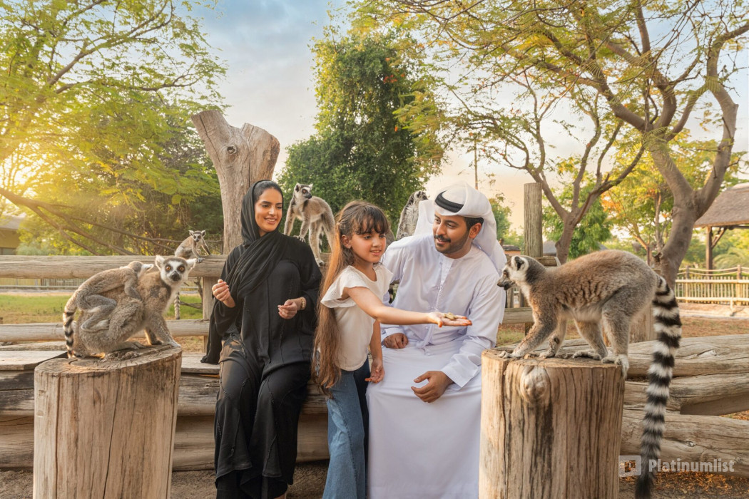 Miracle Garden + Dubai Safari Park - Combo in Dubai : Galerie de photos n1592j