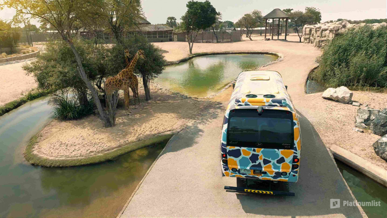 3d7dqb استديو الصور :دبي في حديقة المعجزة + حديقة سفاري دبي – تذكرة كومبو